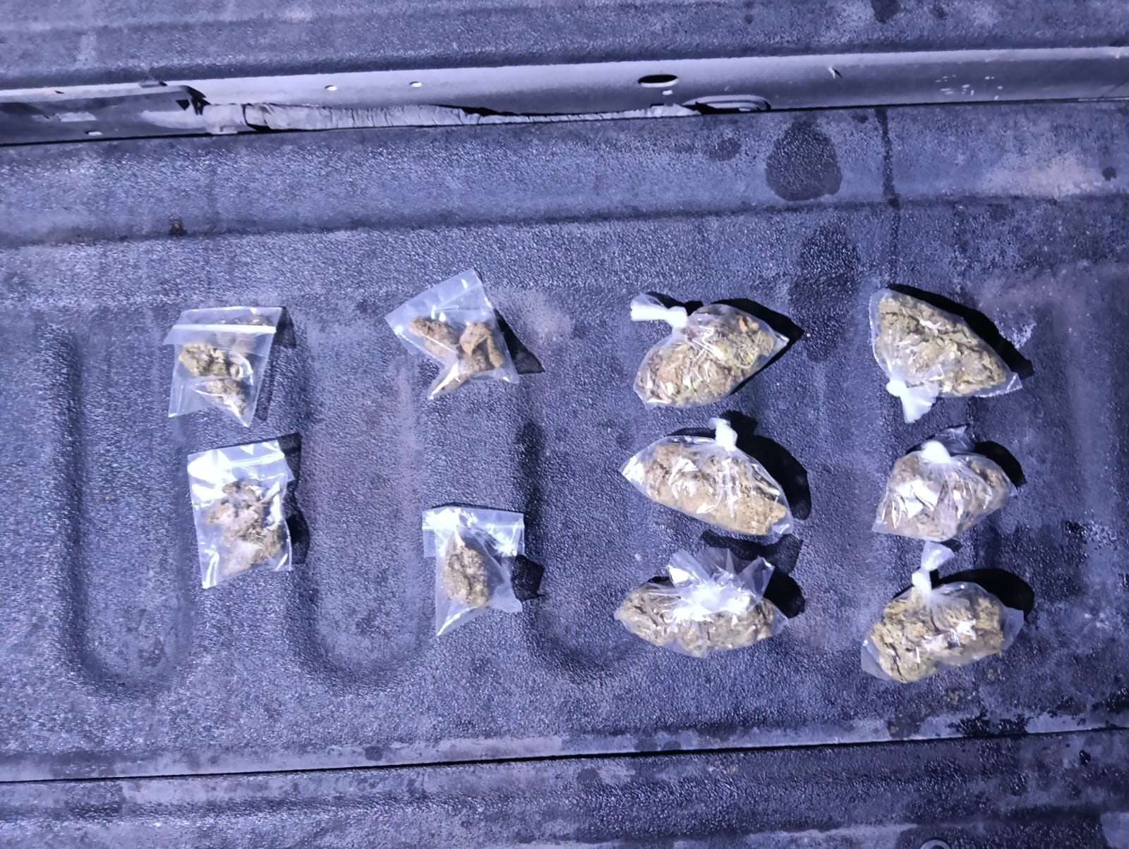 Detienen a hombre con arma, un caimán y una tortuga