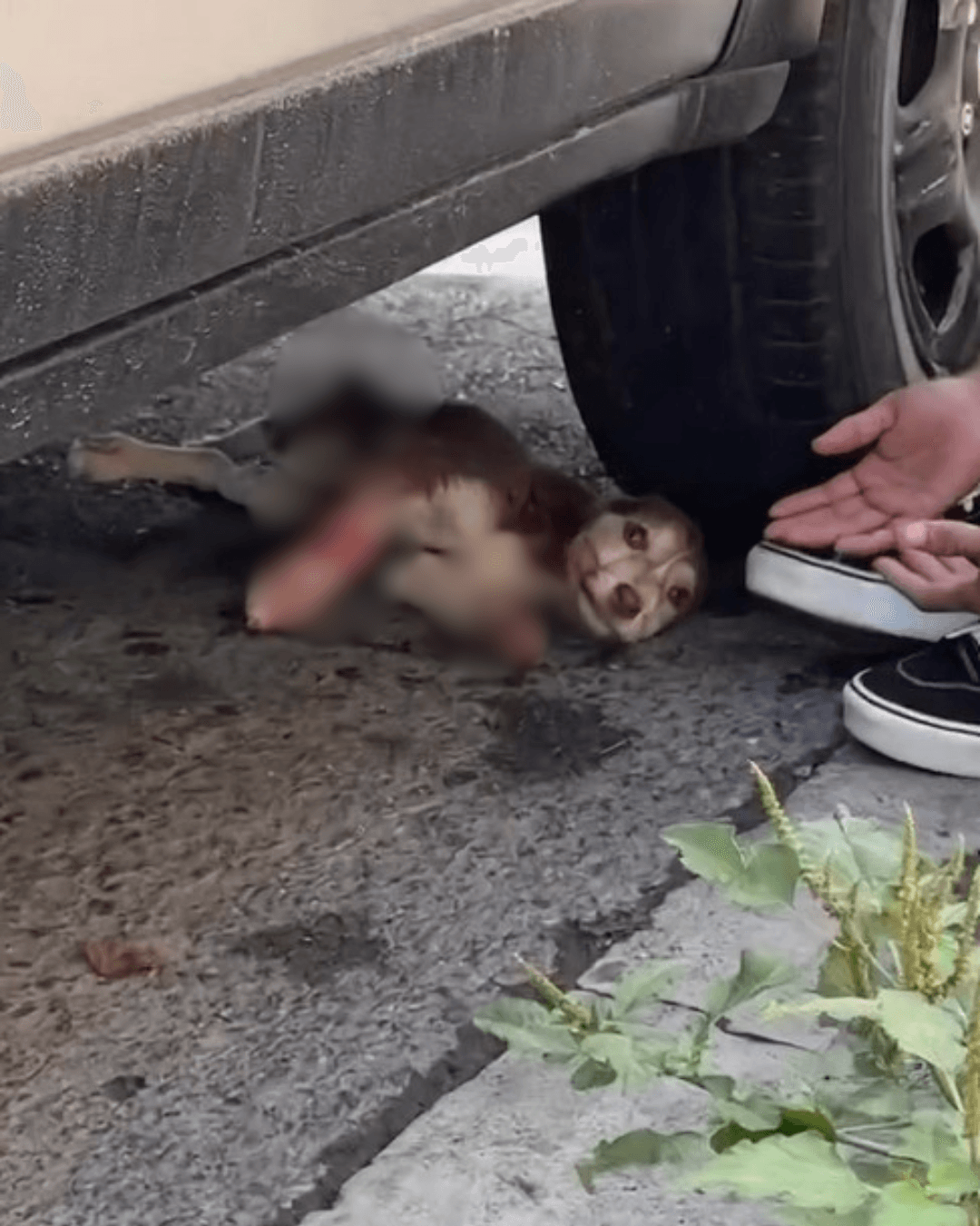 Diseño sin título.png