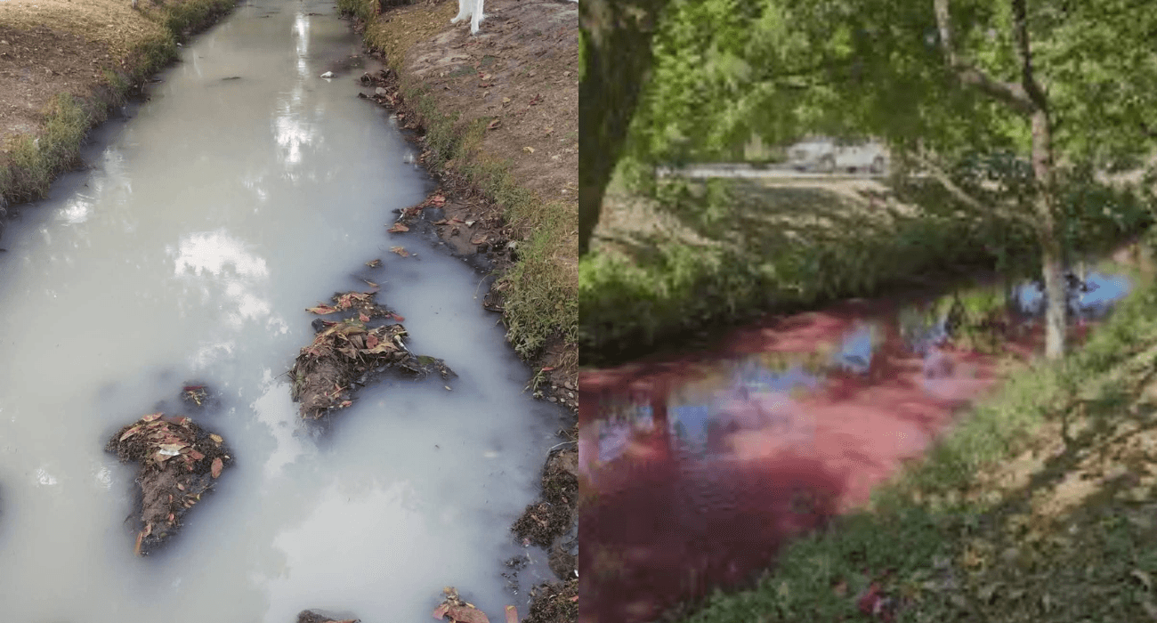 EH DOS FOTOS - 2025-11-10T092509.110.png