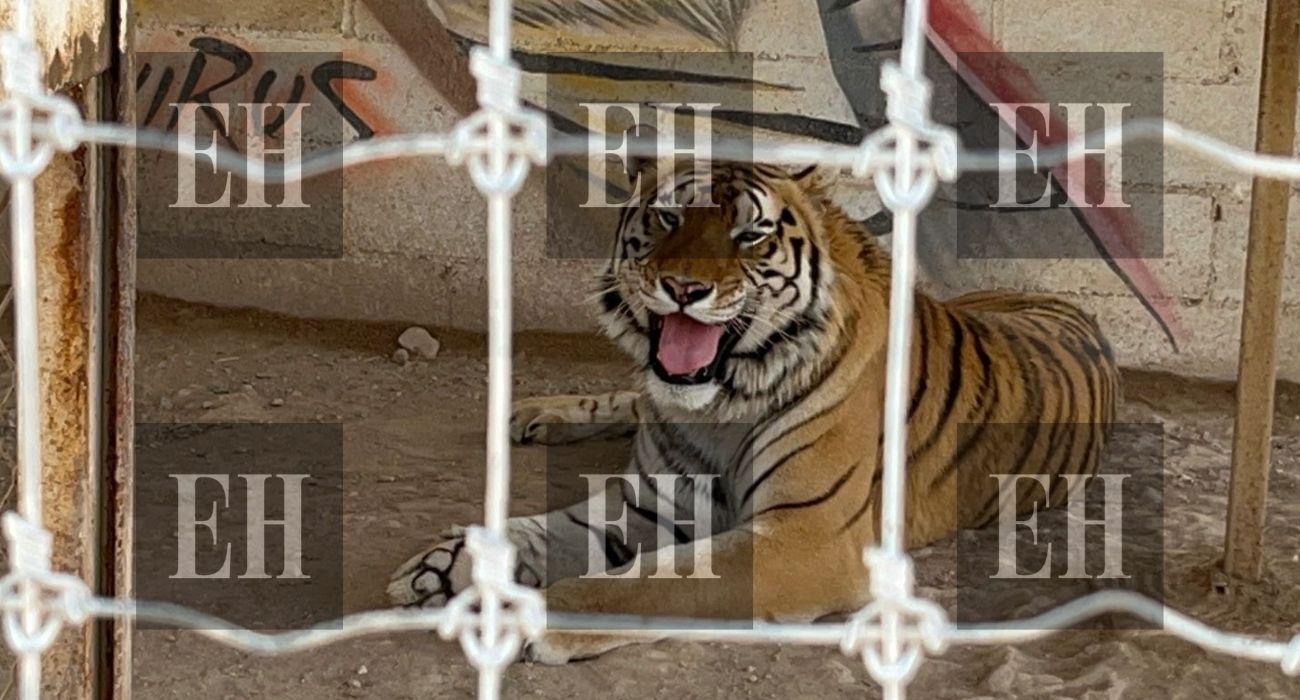 EH MARCA DE AGUA (3).jpg