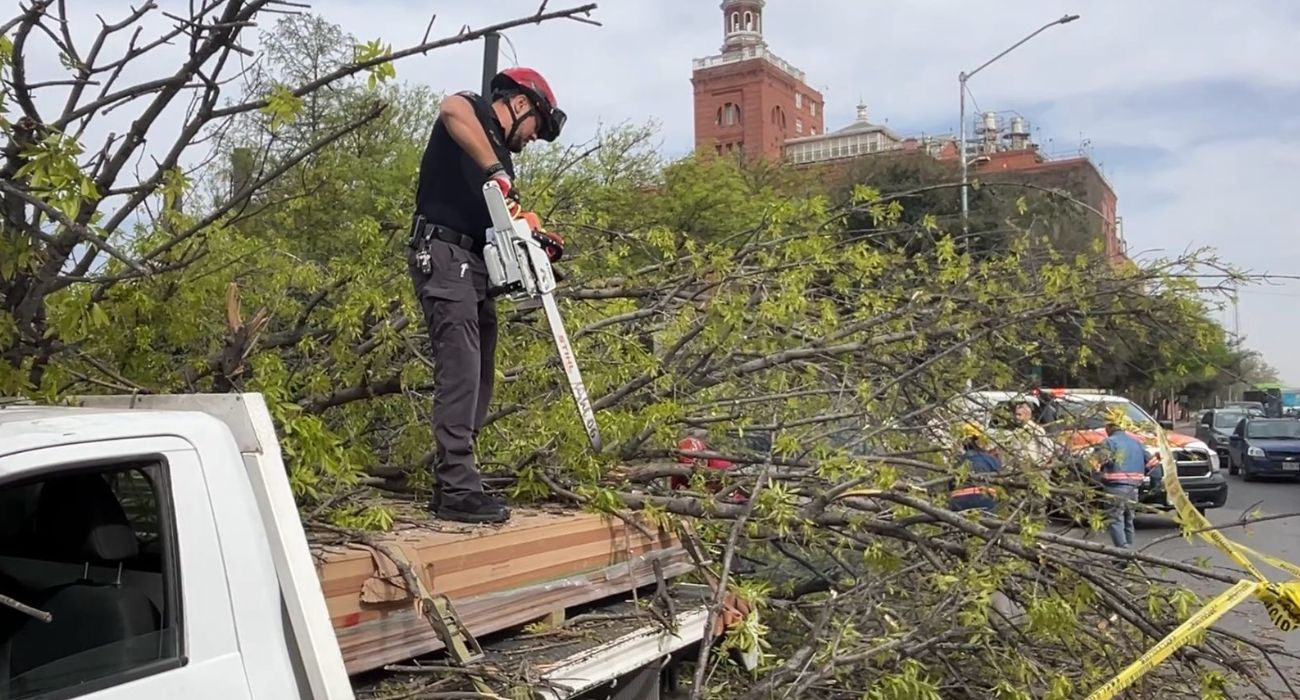 EH UNA FOTO - 2025-03-04T104736.156.jpg