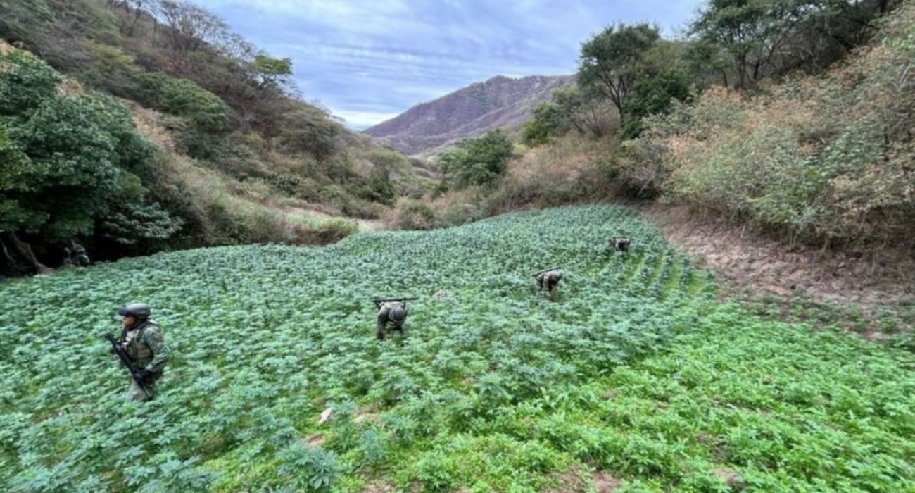 EH UNA FOTO - 2025-03-17T134240.288.jpg