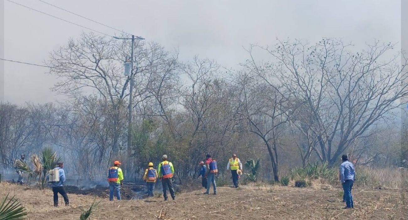 EH UNA FOTO - 2025-03-17T145513.118.jpg