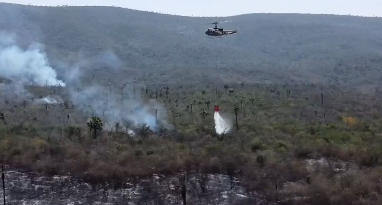 EH UNA FOTO - 2025-03-17T145539.478.jpg