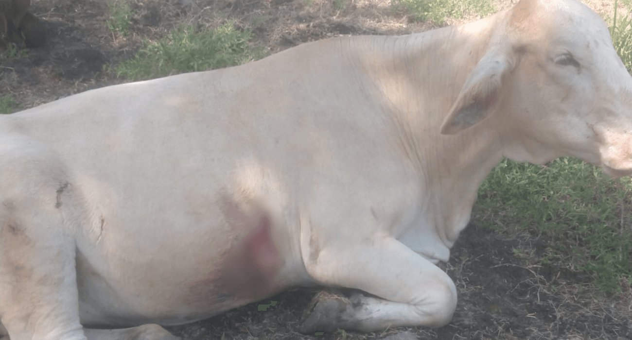 EH UNA FOTO - 2025-10-04T112317.117.png