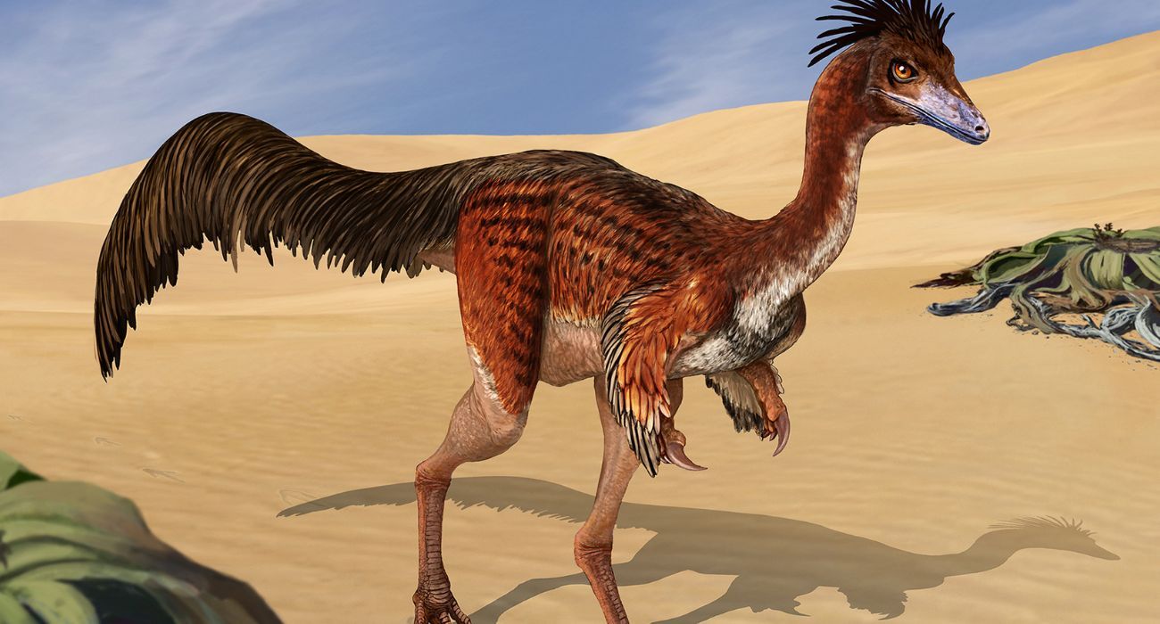 EH UNA FOTO - 2025-10-06T143415.936.jpg