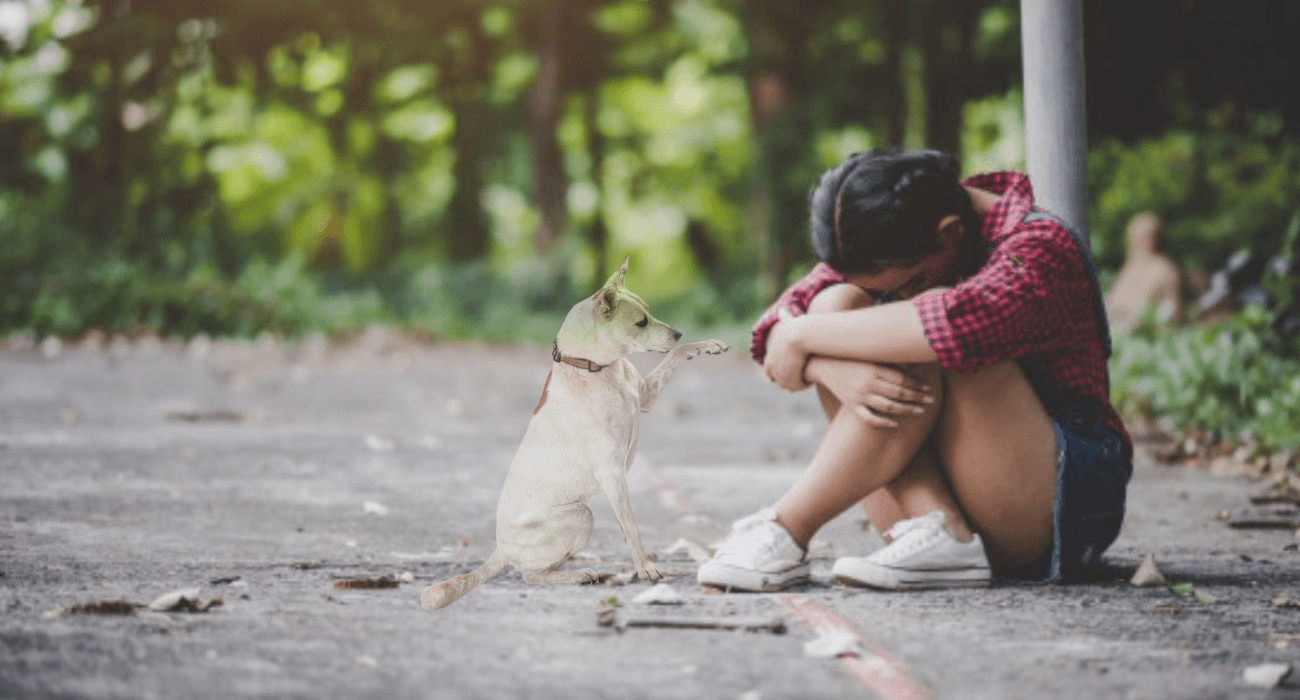 EH UNA FOTO - 2025-10-27T144736.348.png