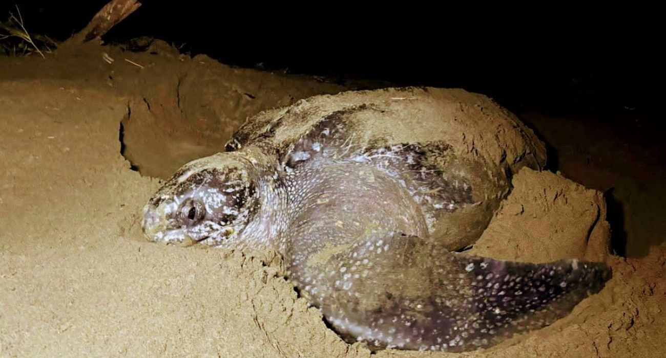 EH UNA FOTO - 2025-12-13T115328.327.jpg