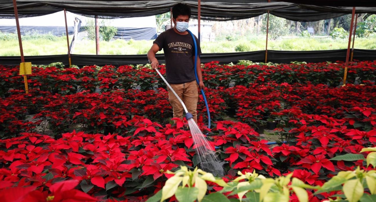 EH UNA FOTO - 2025-12-27T110806.959.jpg