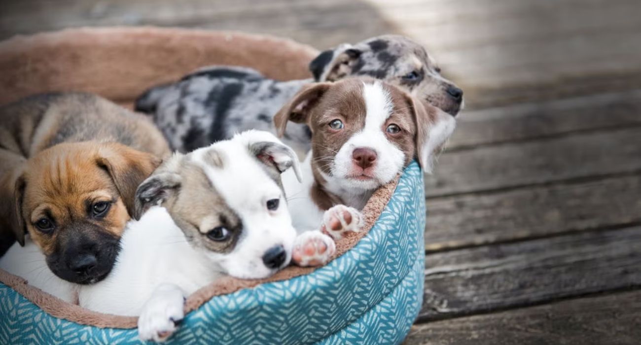 EH UNA FOTO - 2025-12-31T100203.313.jpg