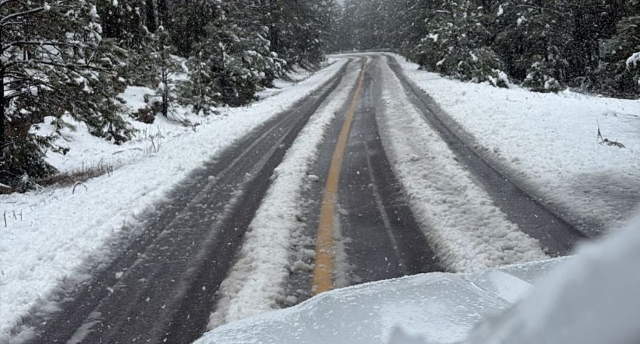 EH UNA FOTO - 2026-01-25T163104.228.jpg