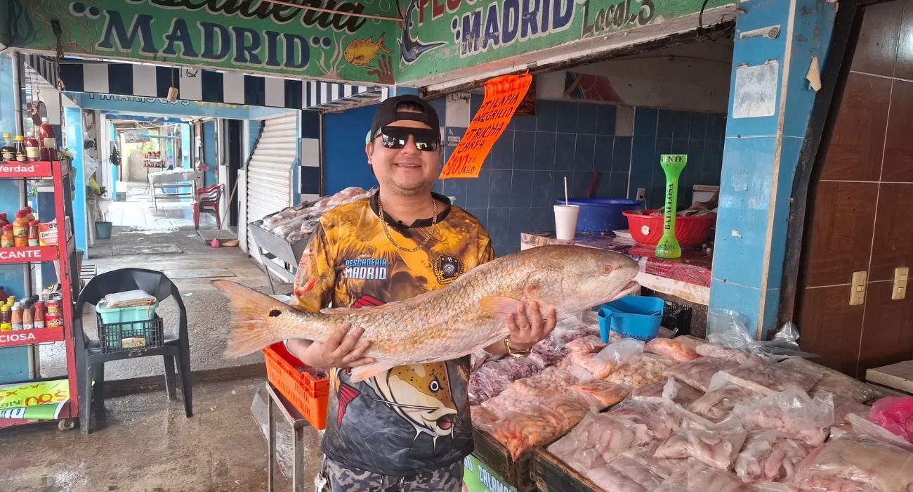 EH UNA FOTO - 2026-03-02T165548.762.jpg