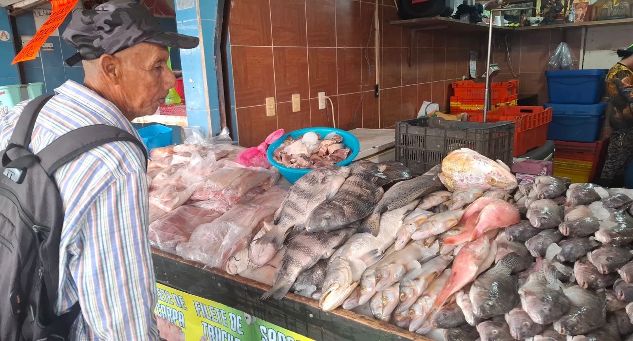 EH UNA FOTO - 2026-03-02T165559.551.jpg