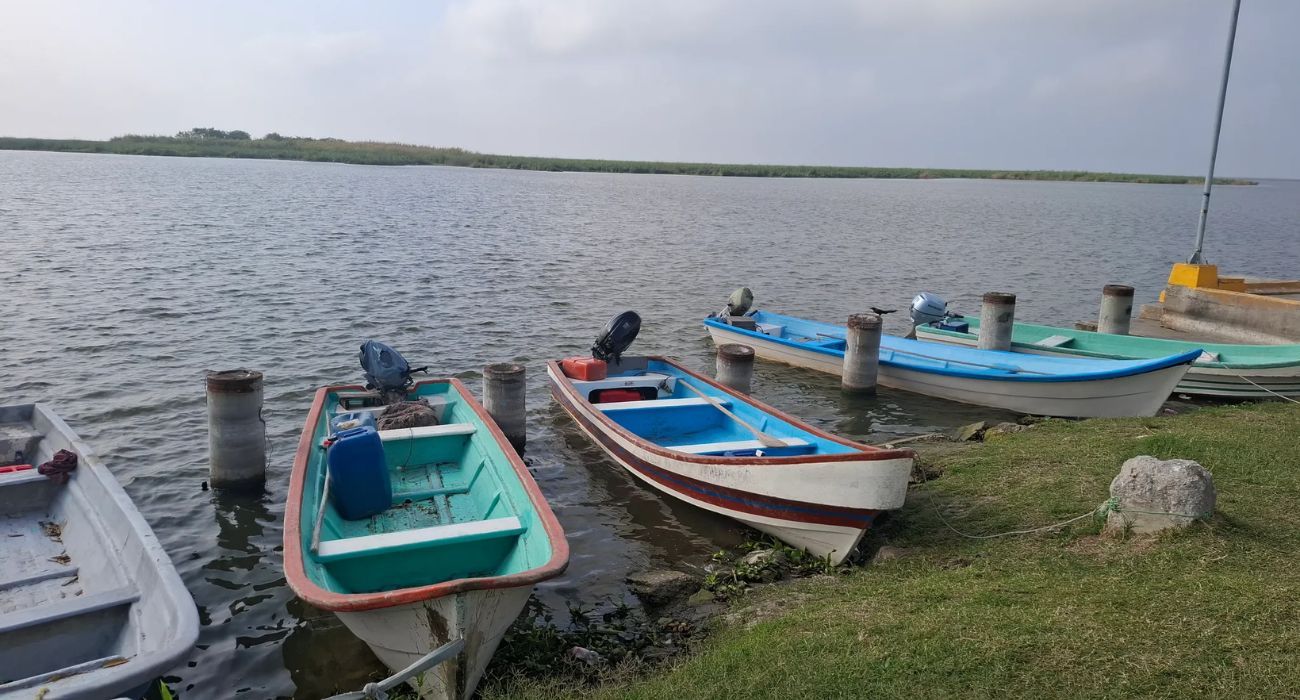 EH UNA FOTO - 2026-03-02T165615.319.jpg