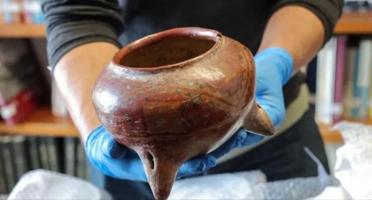 EH UNA FOTO - 2026-04-07T083113.243.jpg