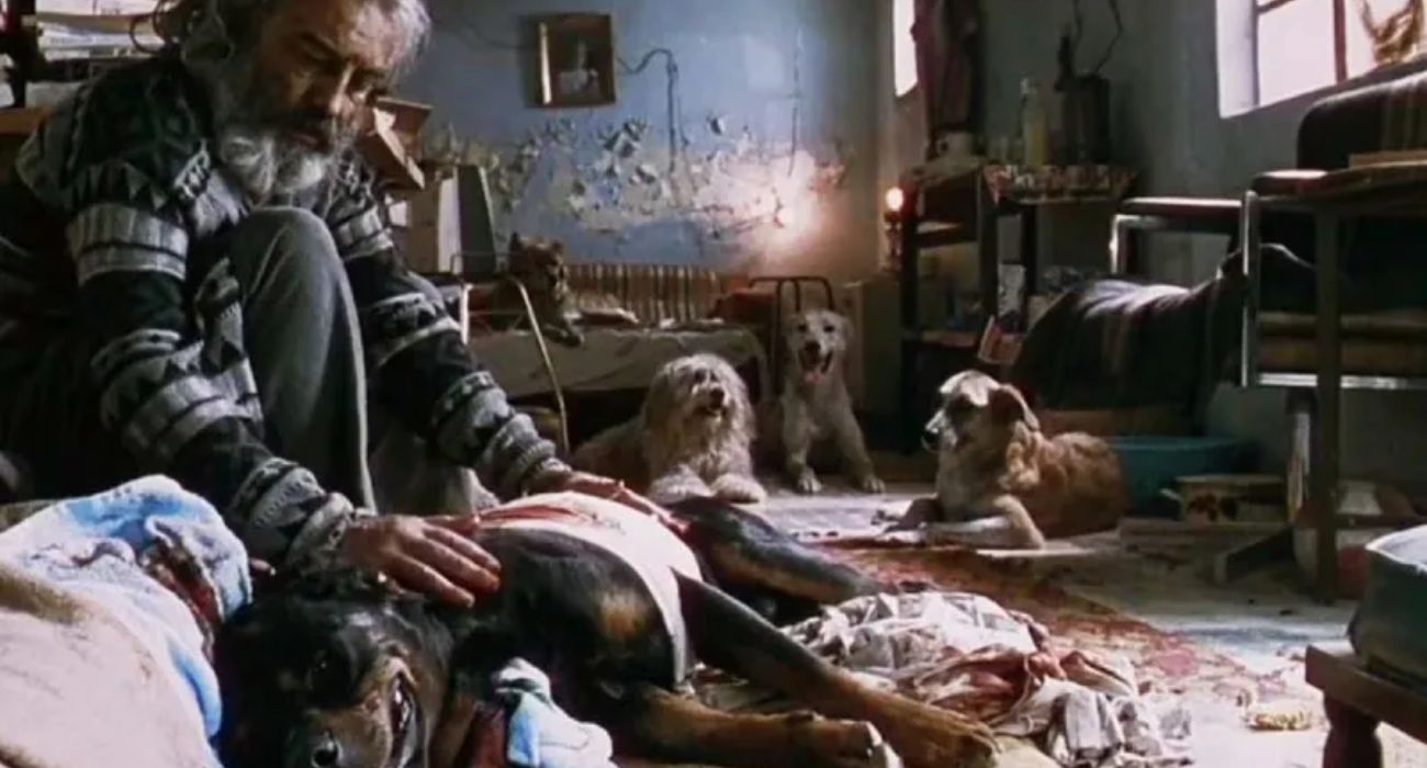 EH UNA FOTO - 2026-04-20T094115.352.jpg