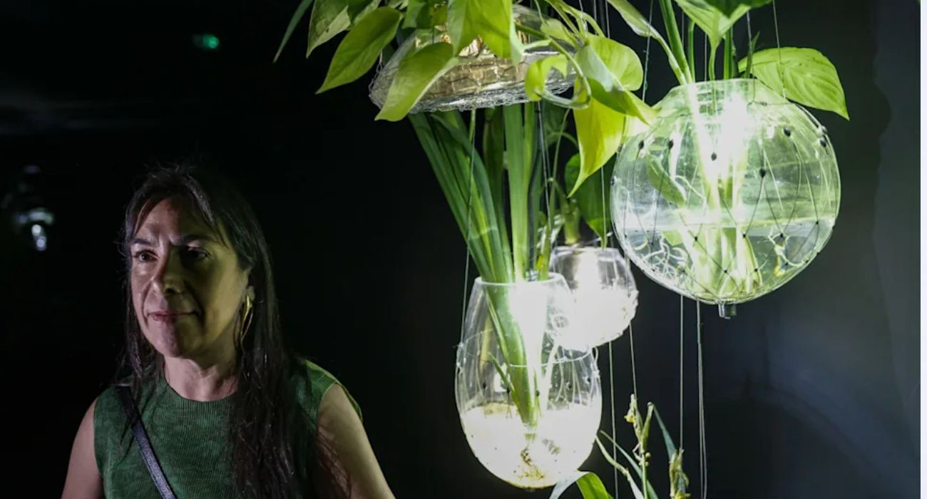 EH UNA FOTO - 2026-04-29T084003.490.jpg