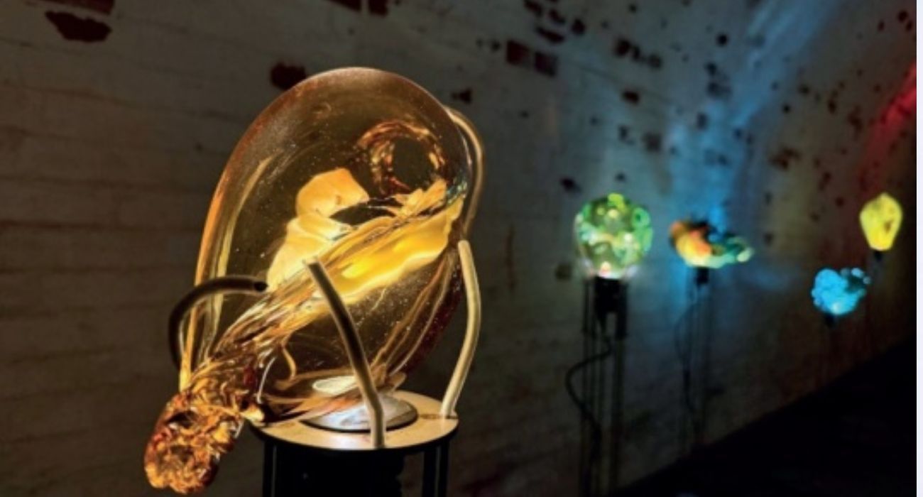 EH UNA FOTO - 2026-04-29T084024.668.jpg