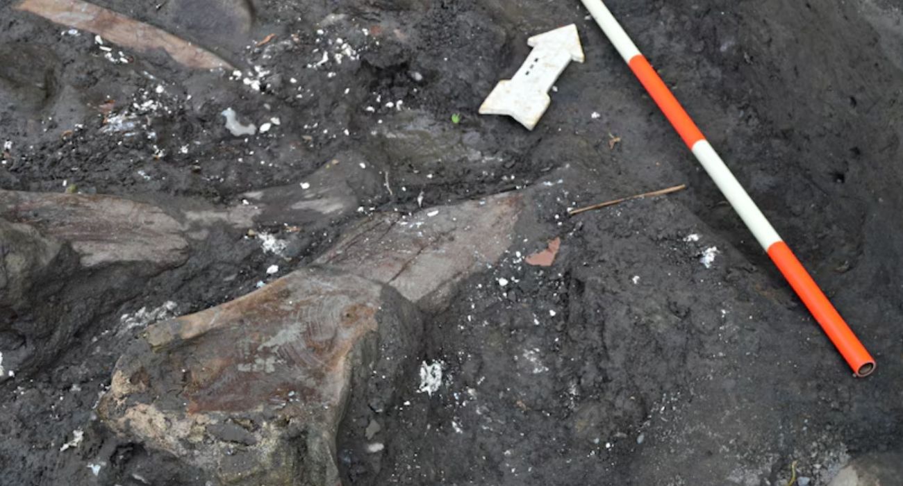 EH UNA FOTO (32).jpg