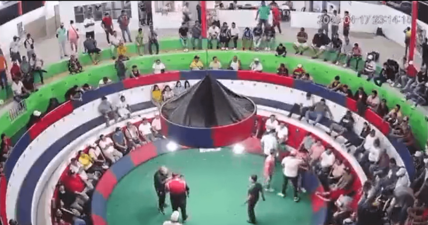 Ecuador-pelea de gallos