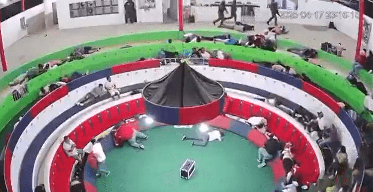 Ecuador-pelea de gallos