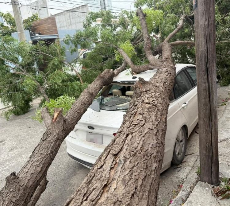 Frente frío provoca daños menores a infraestructura en Victoria.jpg