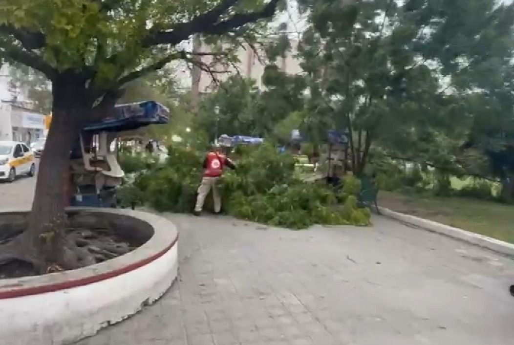 Frente frío provoca daños menores a infraestructura en Victoria.jpg