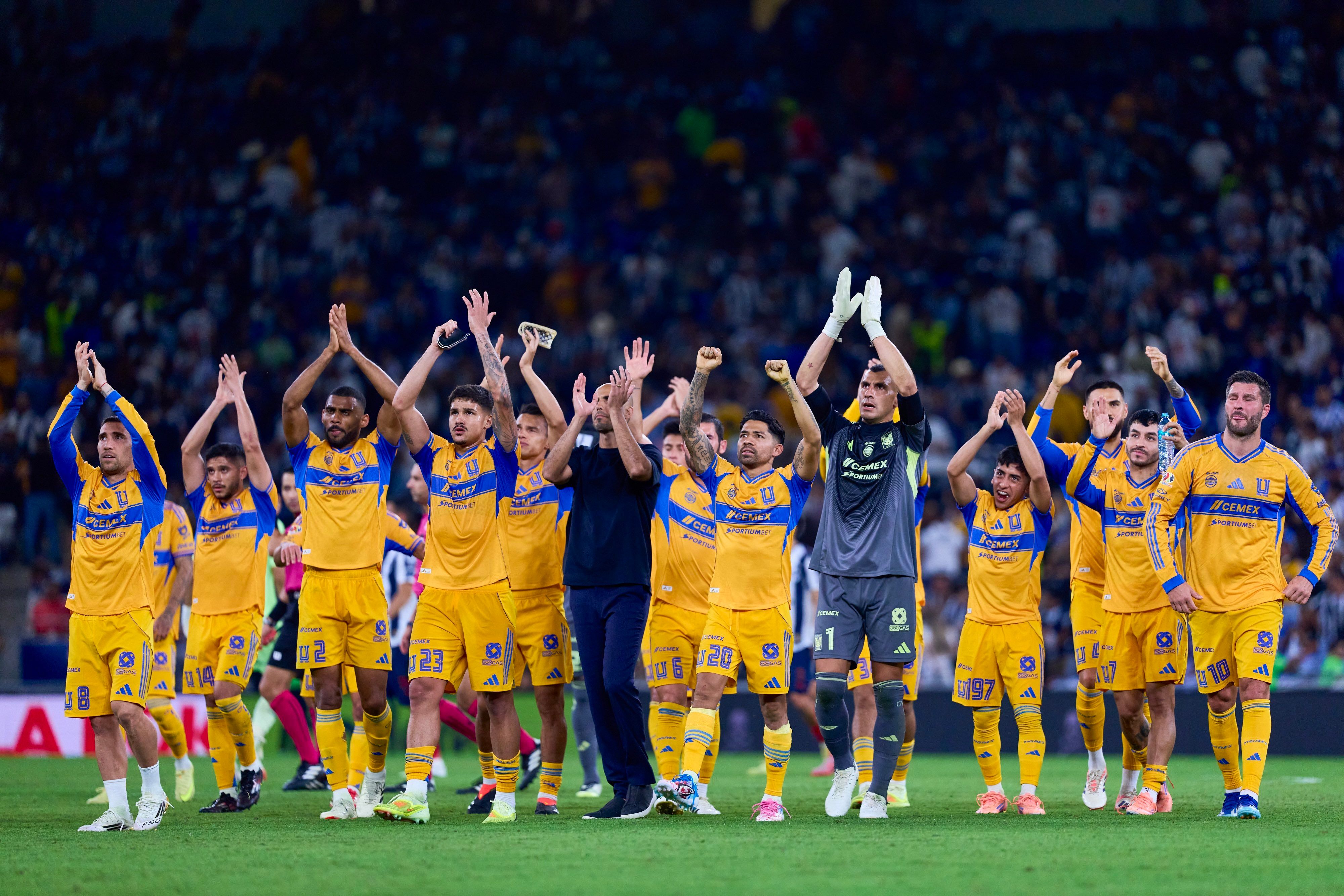 Tigres