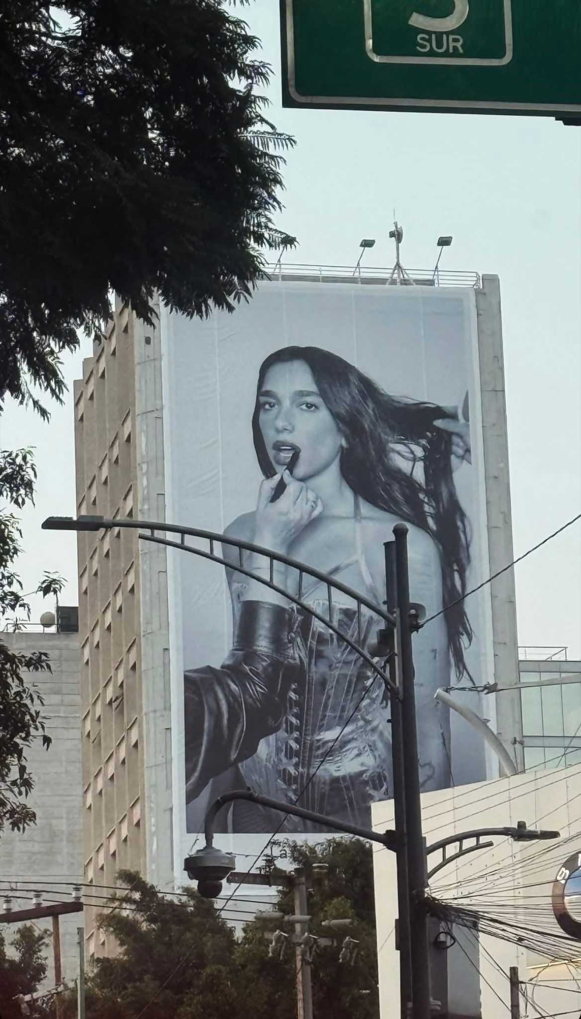 G6y8owcXcAAj7L1.jfif