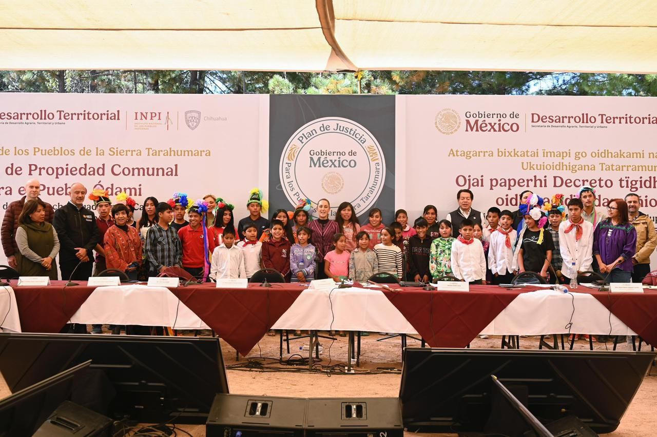 G8E7vAgXsAA9eDi.jfif