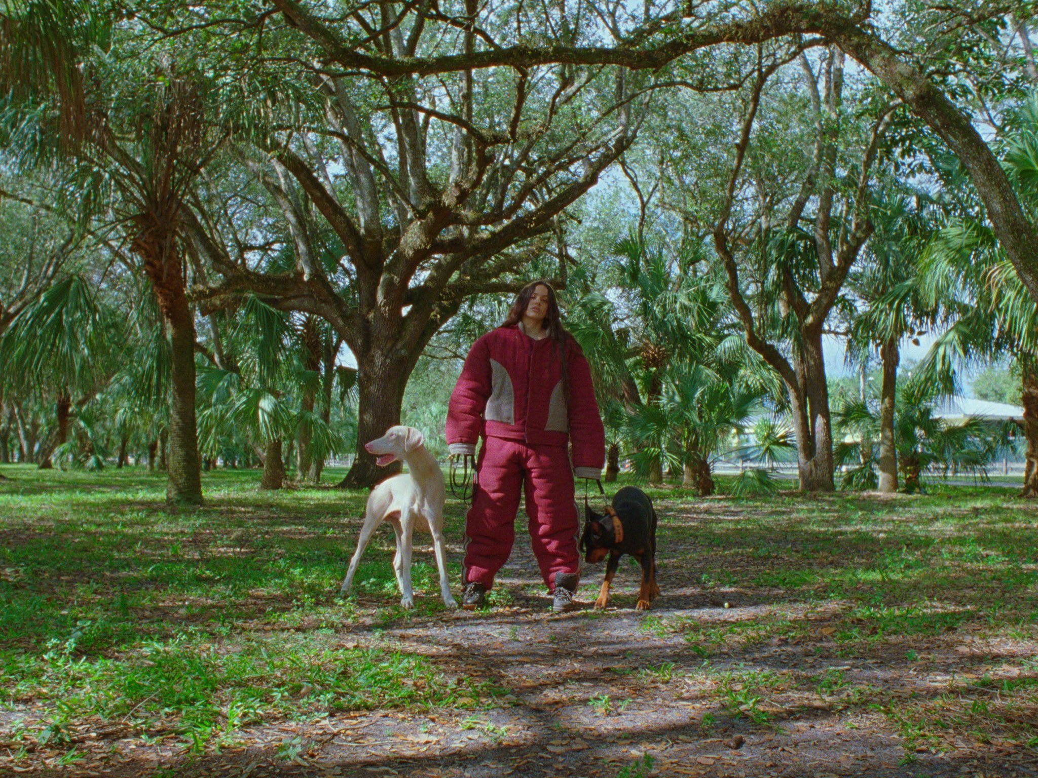 G8OjMduWUAIHQoT.jfif