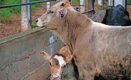 G9L9DsZXMAAd0CT.jfif