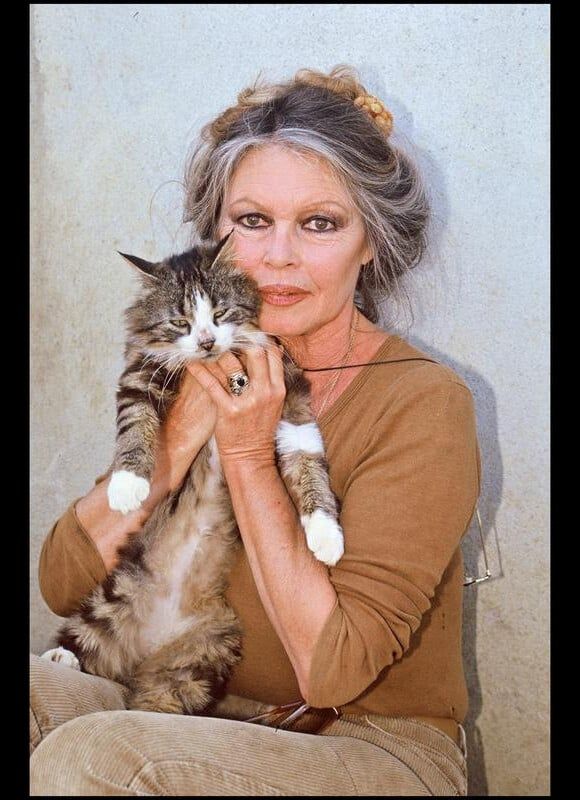 G9P_pXpWYAAttBb (1).jfif