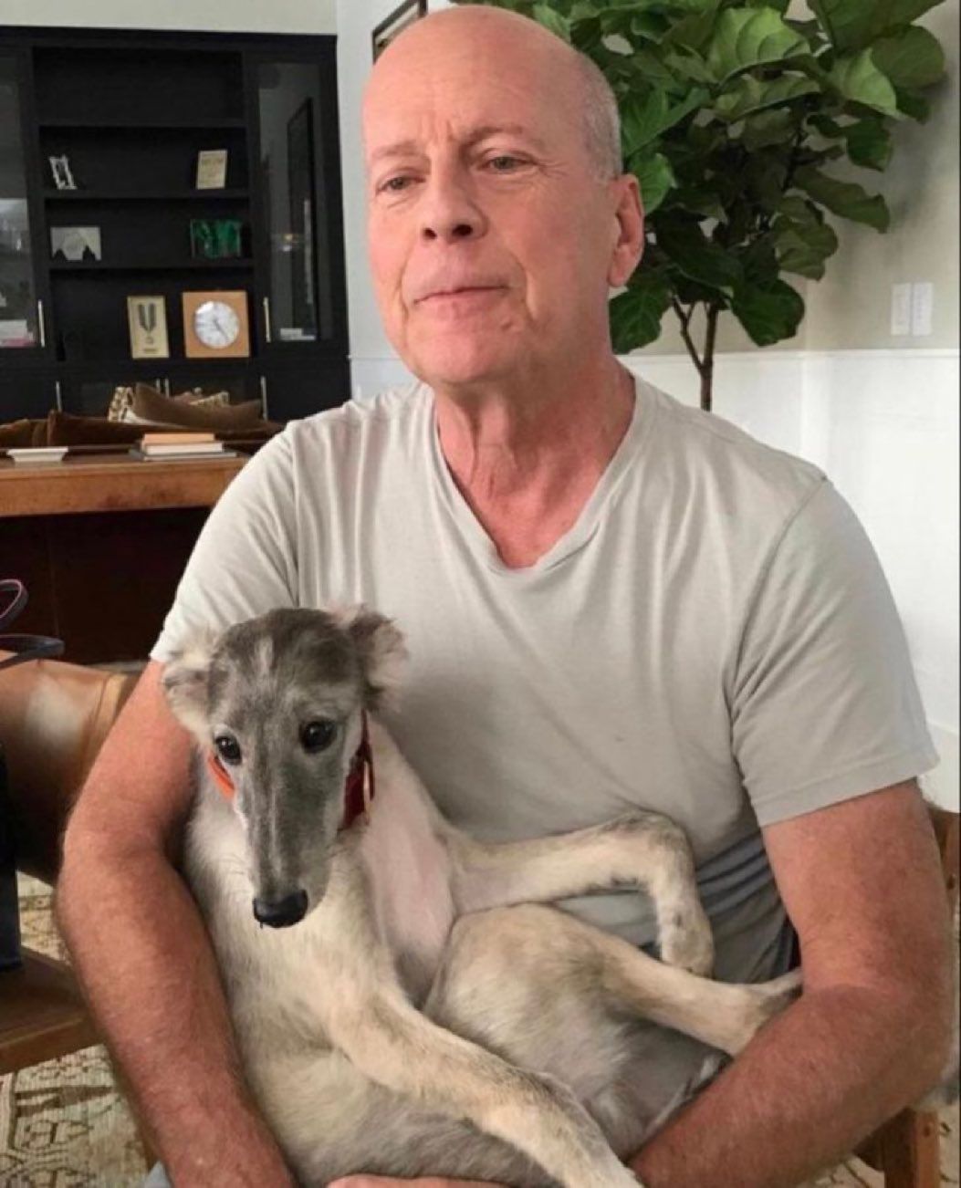 GSx04ioWQAAPsIK.jfif