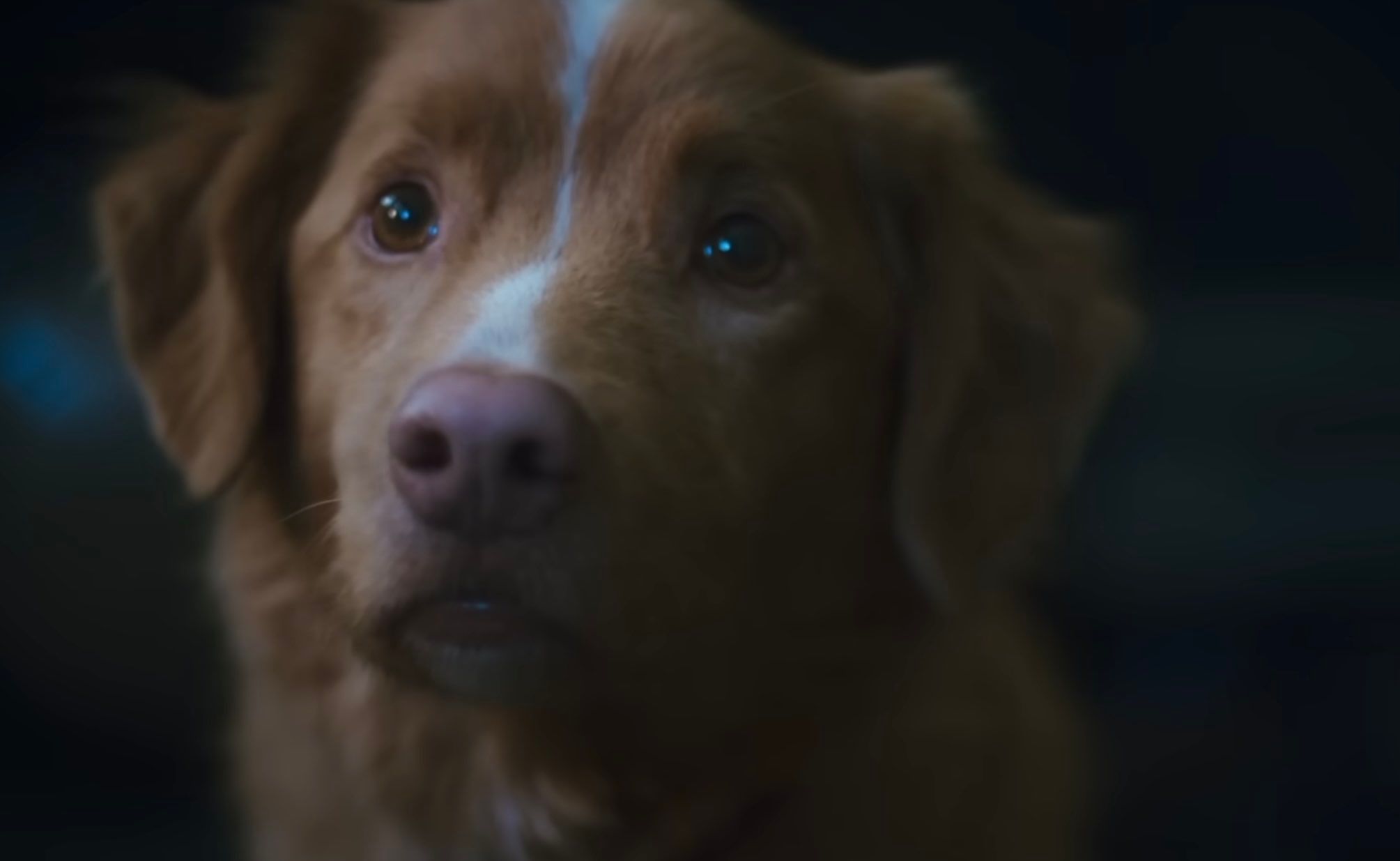 G-Tqzb9W8AAWdf2.jfif