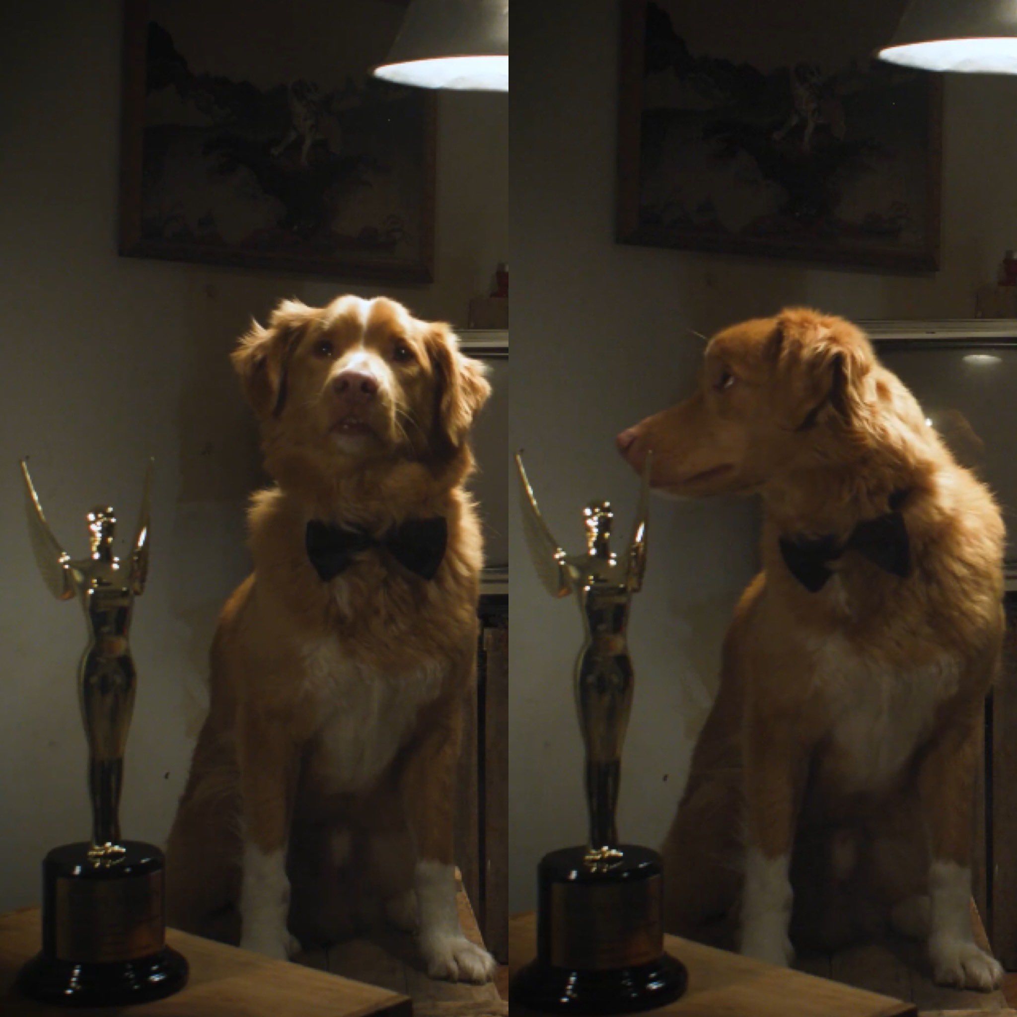 G-UEUG2XMAIFmS0.jfif