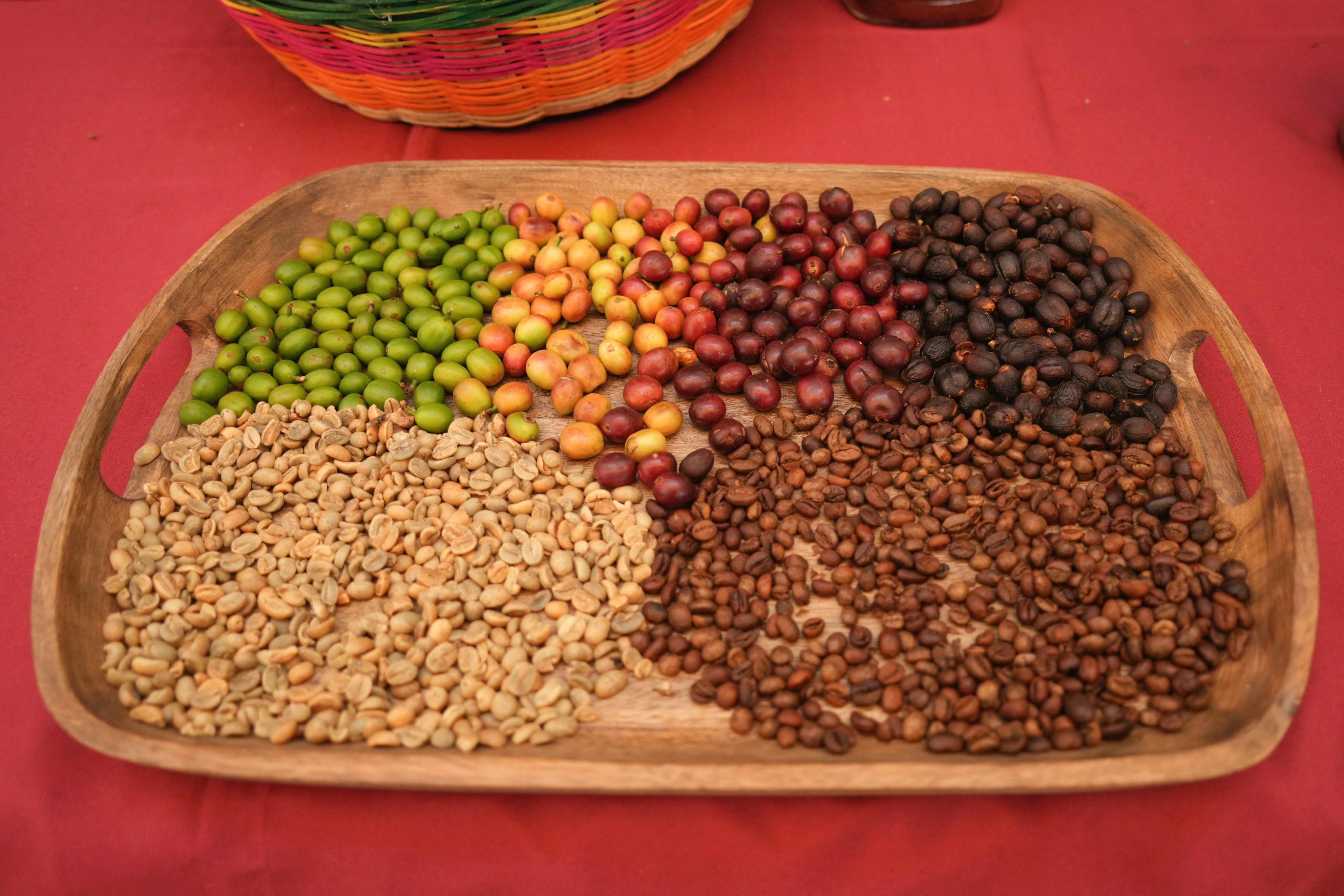 G-VSipPWUAEPiK3.jfif