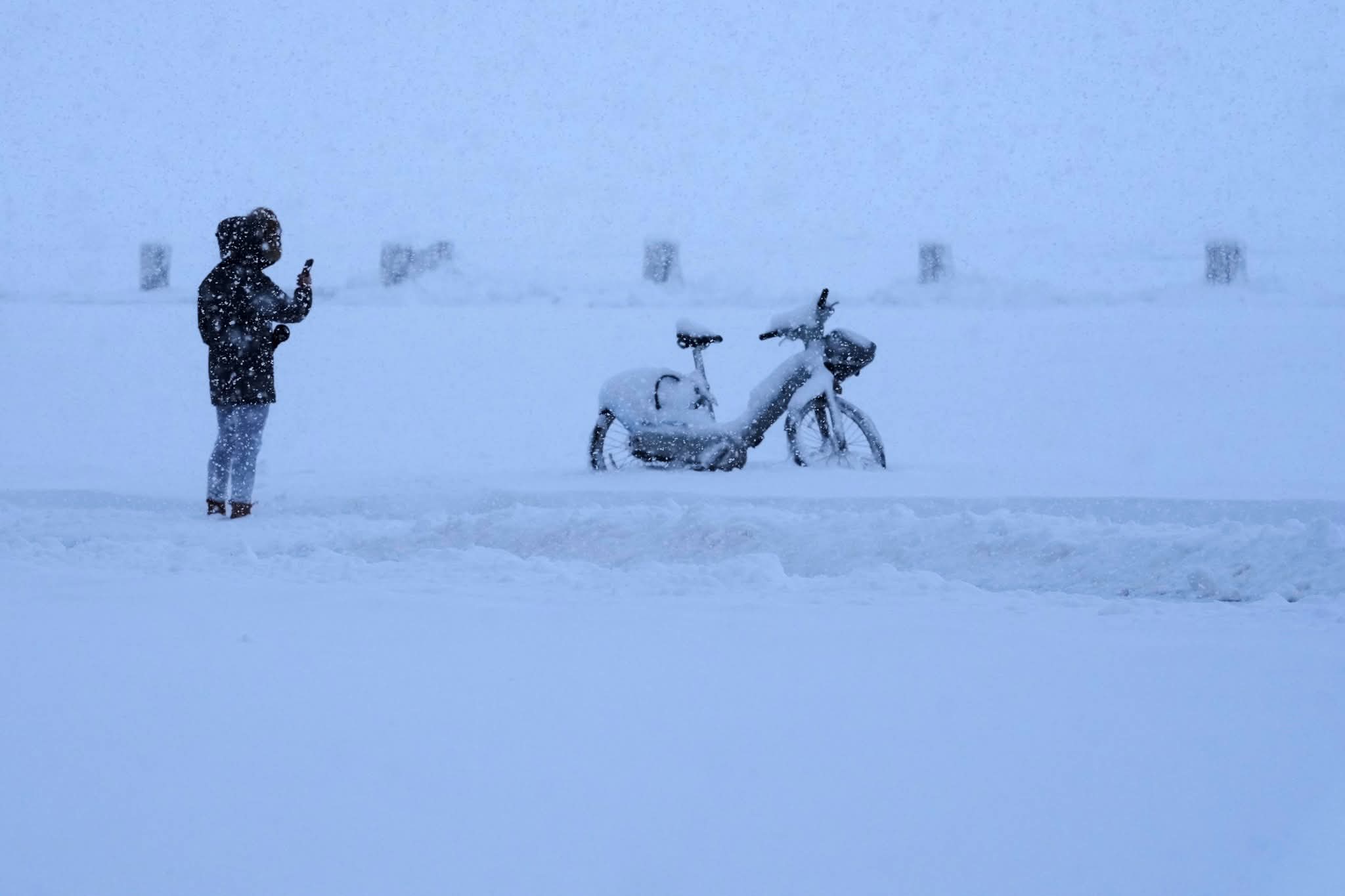 G_hnLHxW8AAqjmv.jfif