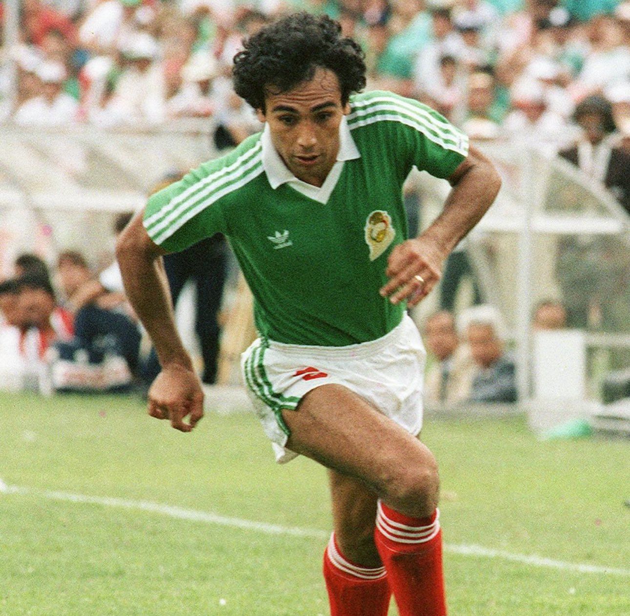 G-jfwSnWwAAj0YN.jfif