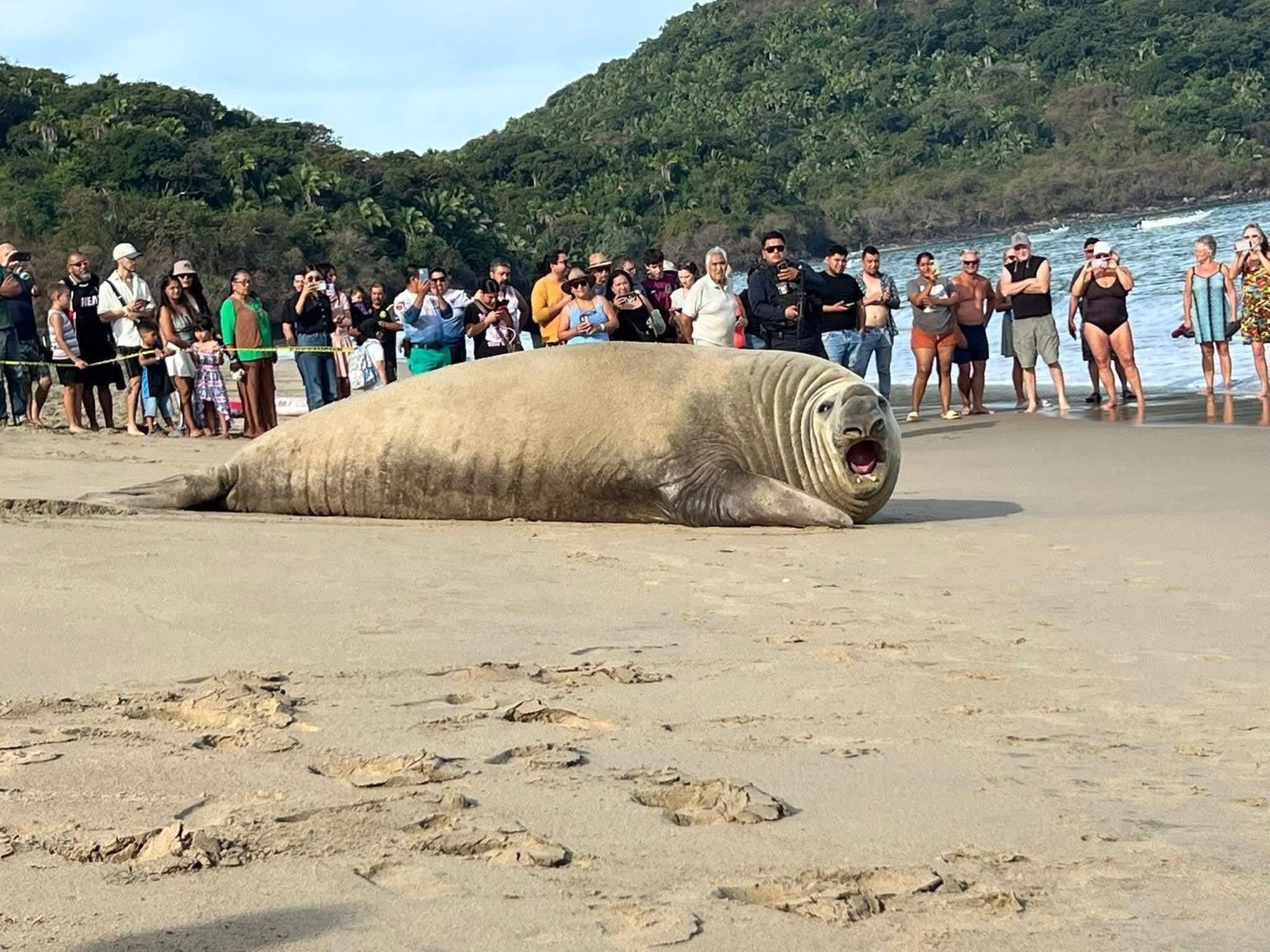 G_twhk8XMAAQDet.jfif