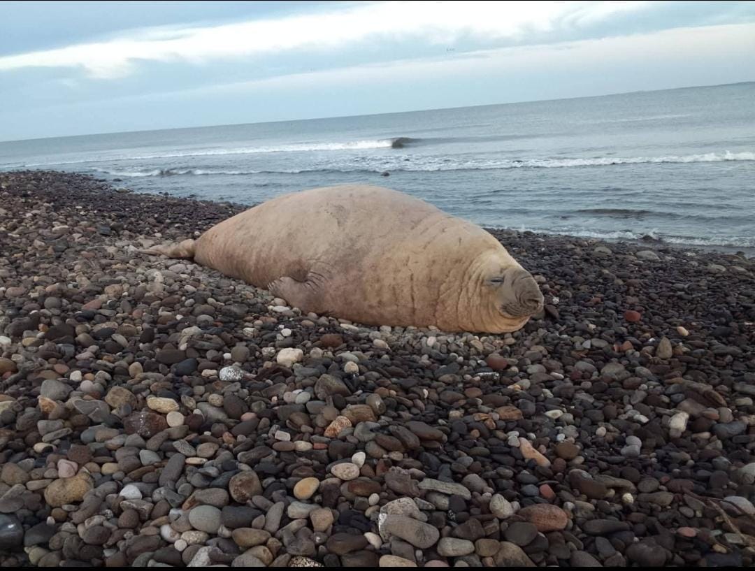 G_uGYikXAAE7bWg.jfif