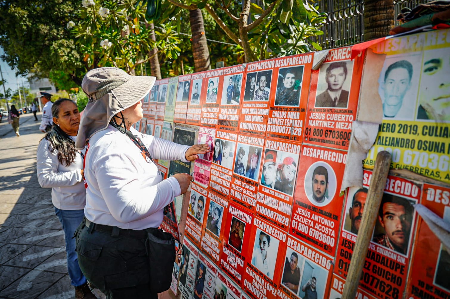 Gqm8fyRa4AAwcOK.jfif