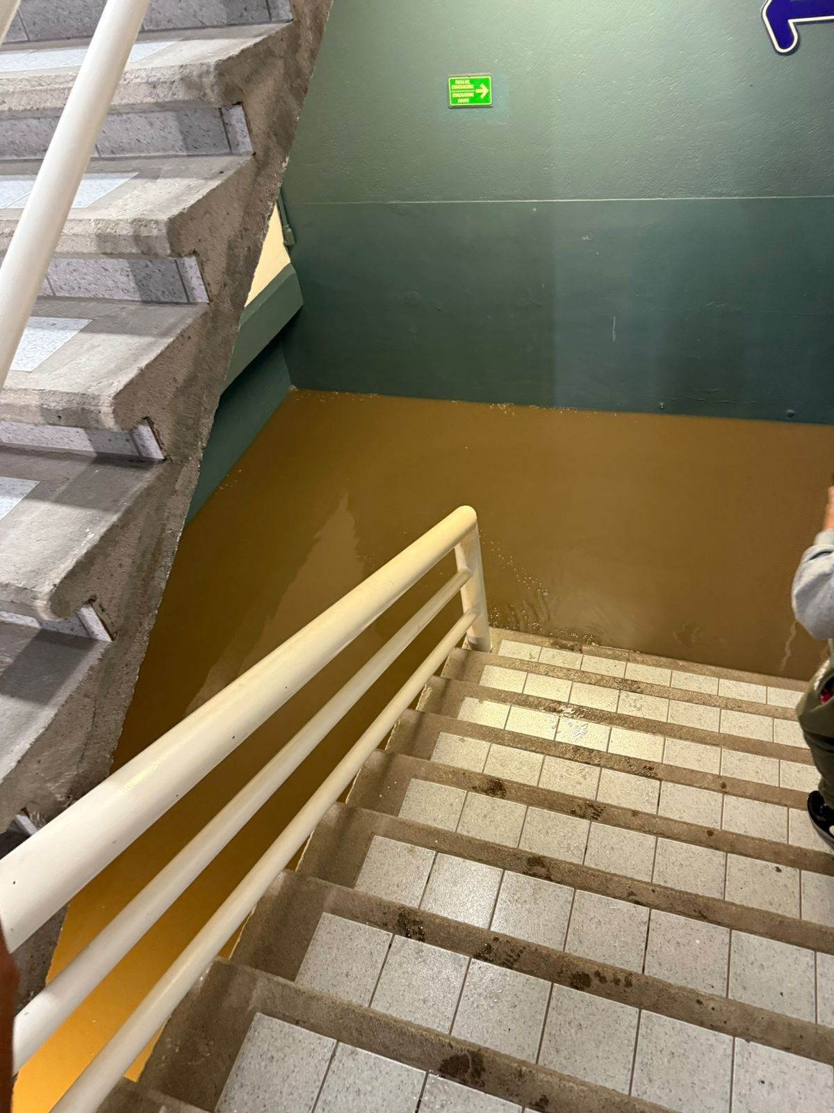 GzDMfT6XAAAiqQM.jfif