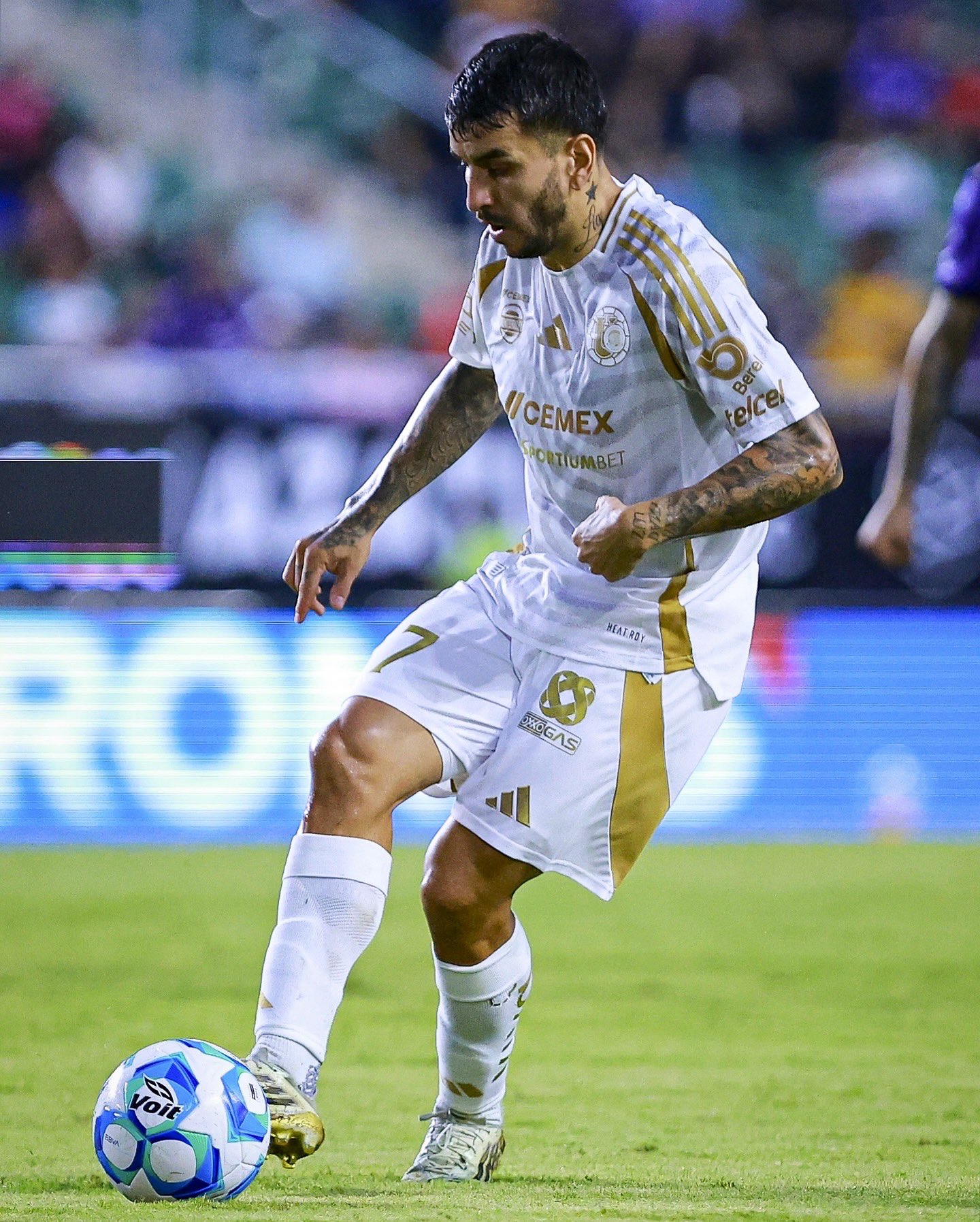 GzFTYCqXgAA3XN2.jfif