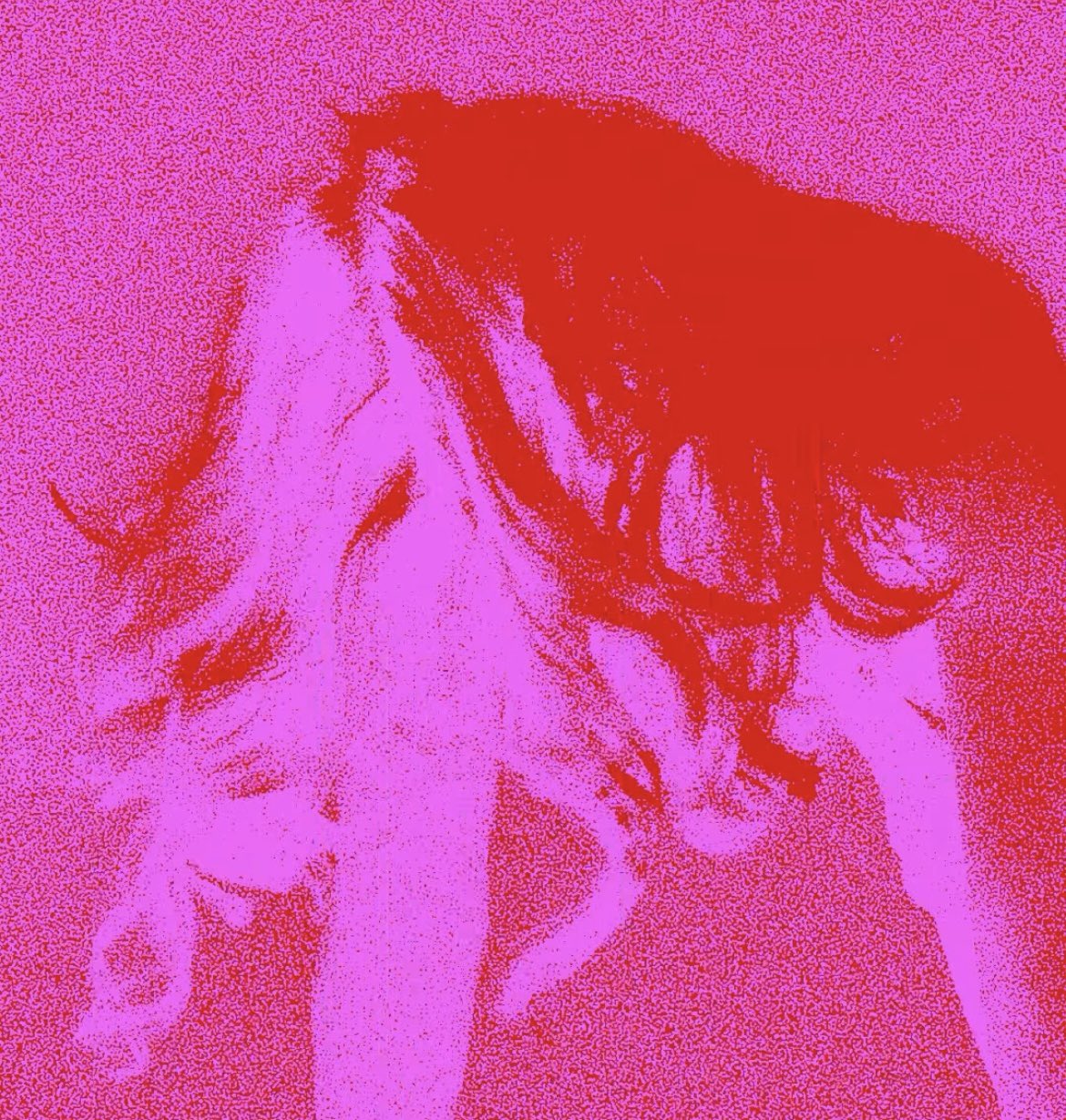 HF8zhrJa0AAPVSK.jfif