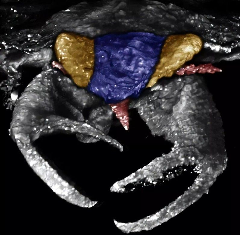 HHDm-OAacAAQ44G.jfif