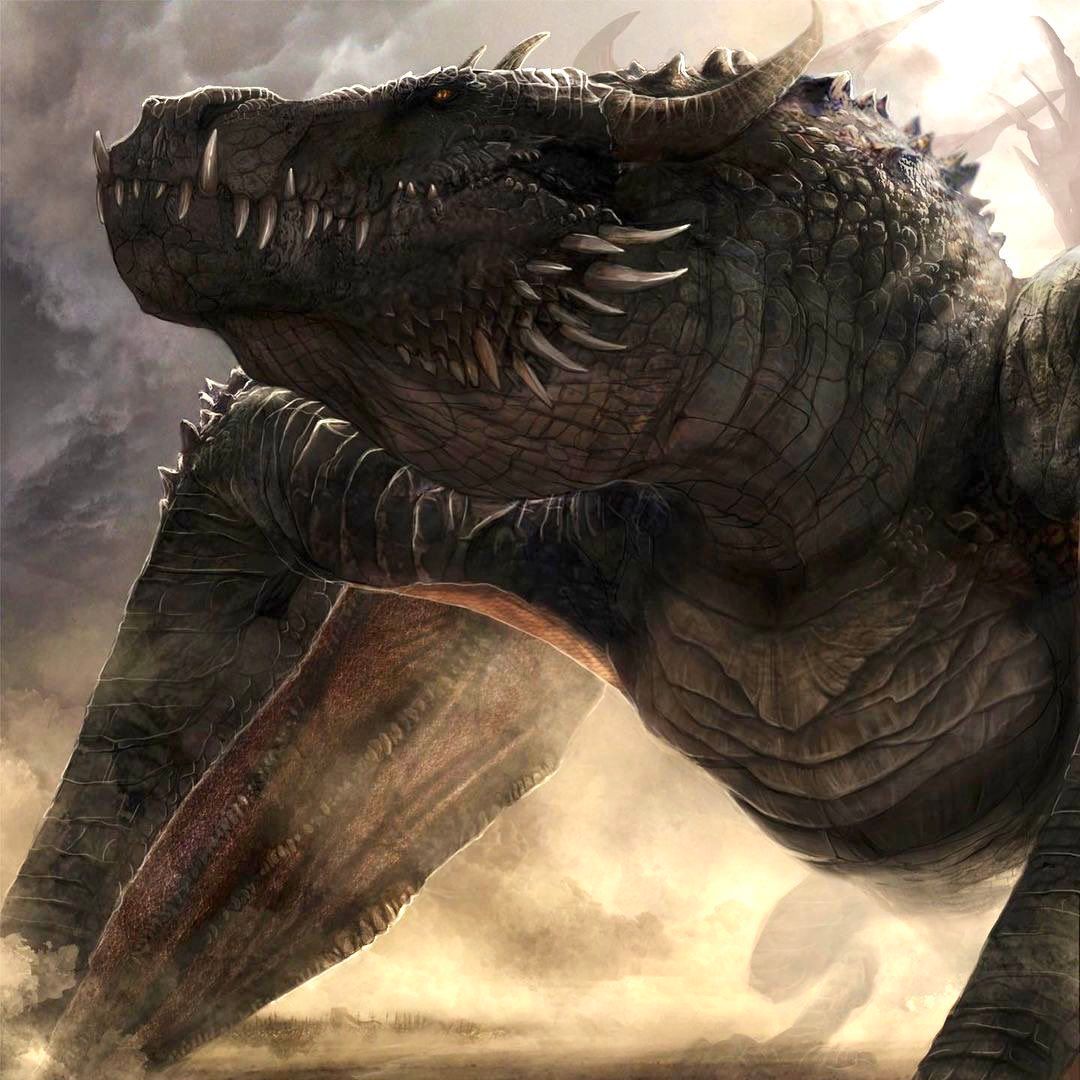 HCgDxcVWkAERJBs.jfif