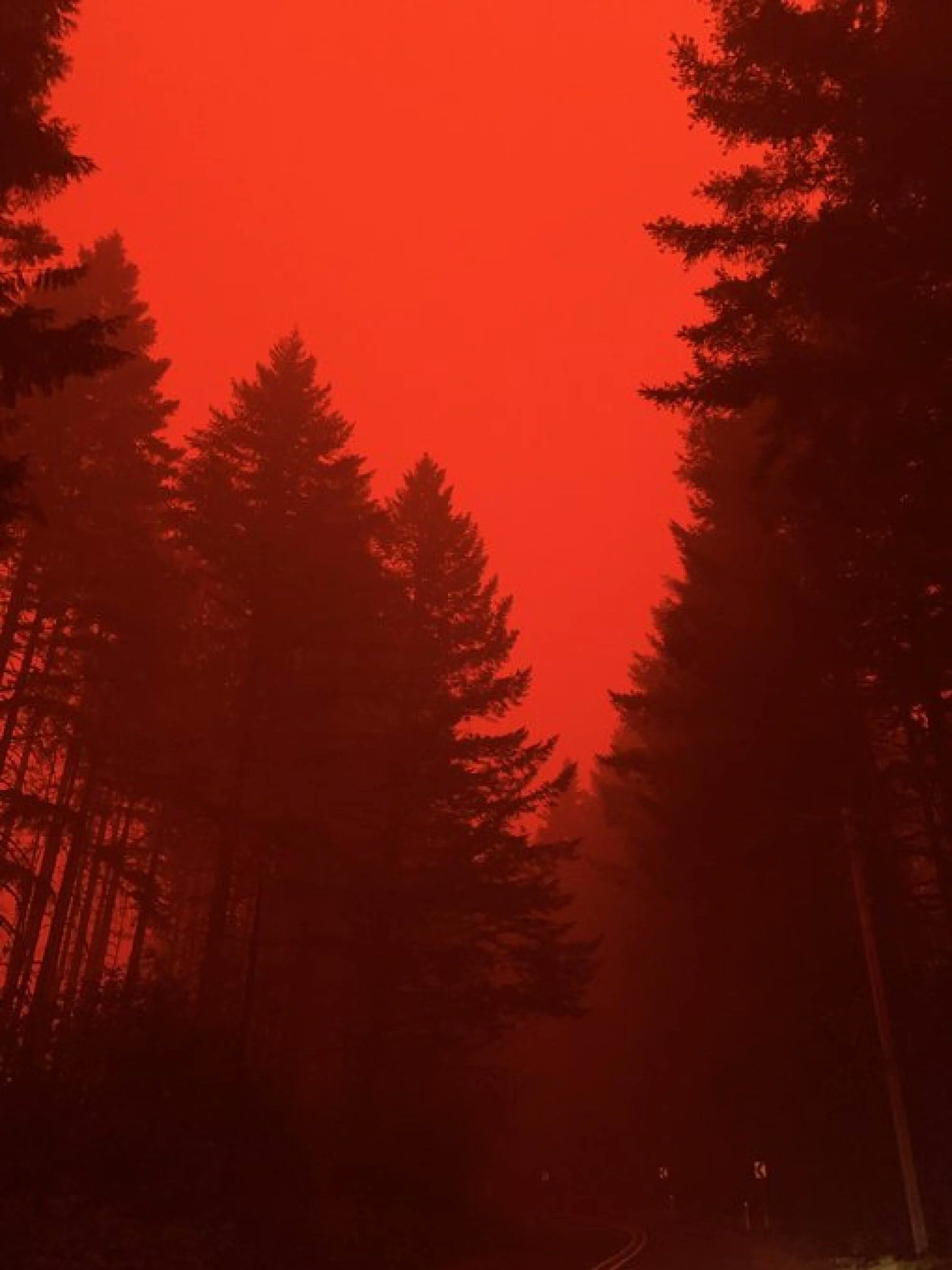 HEjlW3caoAALwwK.jfif