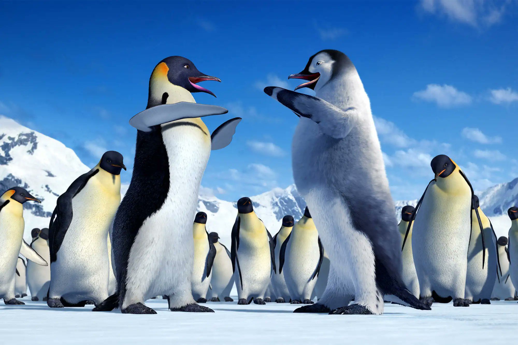 HEv8xT4aUAAi16w.jfif