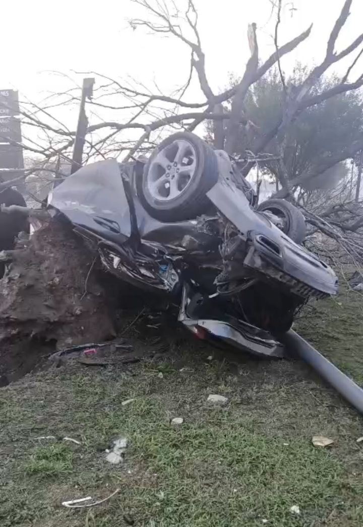 Hombre muere prensado tras impactarse contra árbol en Reynosa.png